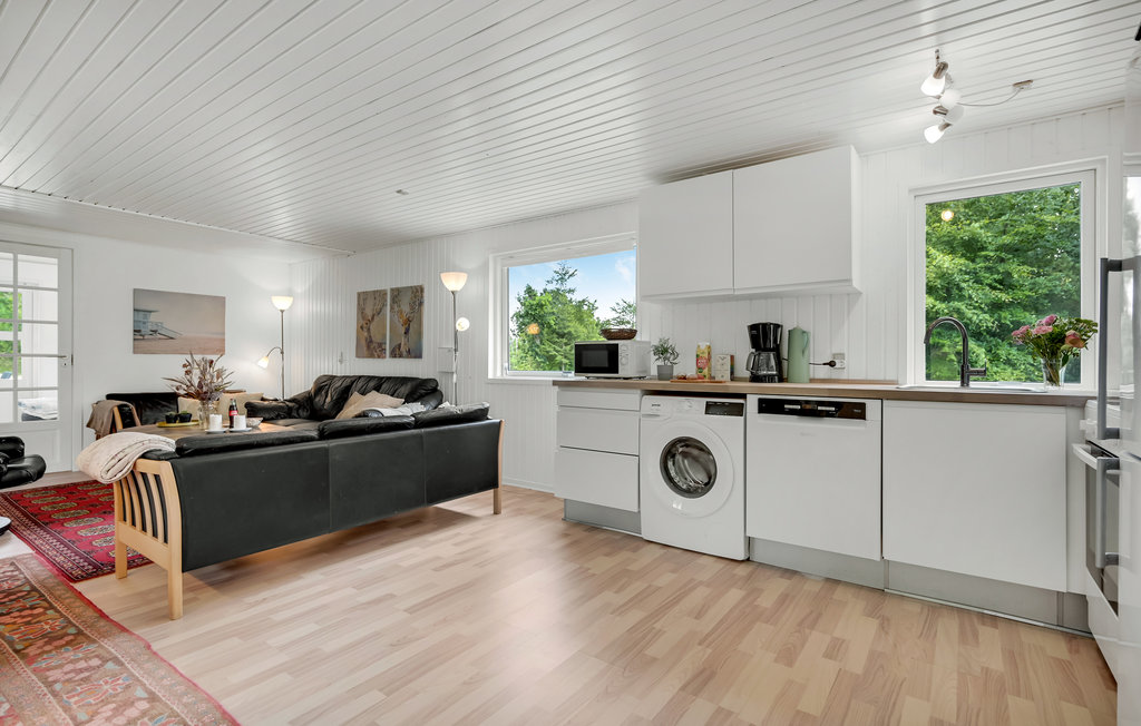 Ferienhaus - Truust , Dänemark - D82020 5