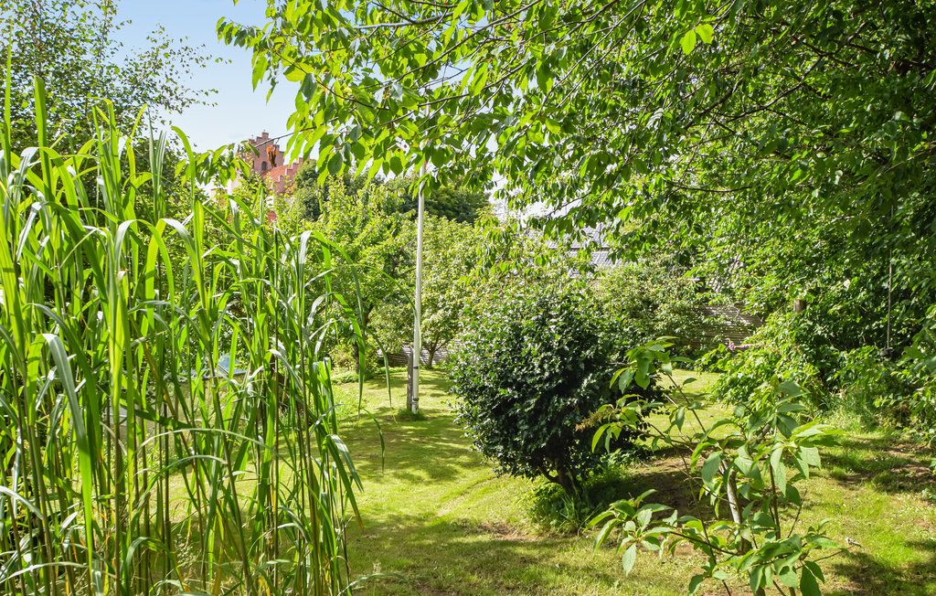 Feriehus - Gjern , Danmark - D82103 13