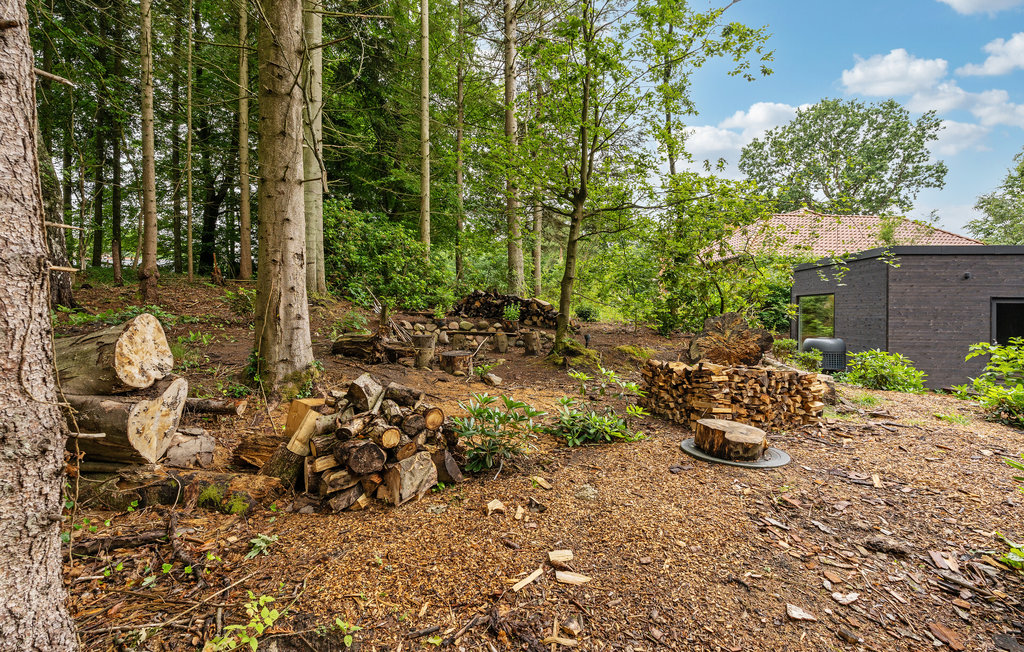 Ferienhaus - Bryrup , Dänemark - D82162 14