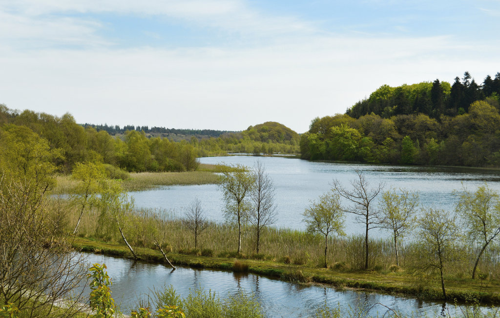 Feriehus - Rørbæk Sø , Danmark - D82610 2