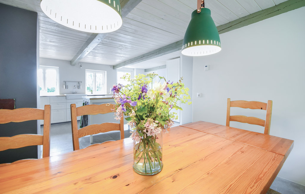 Feriehuse - Silkeborg , Danmark - D82147 13