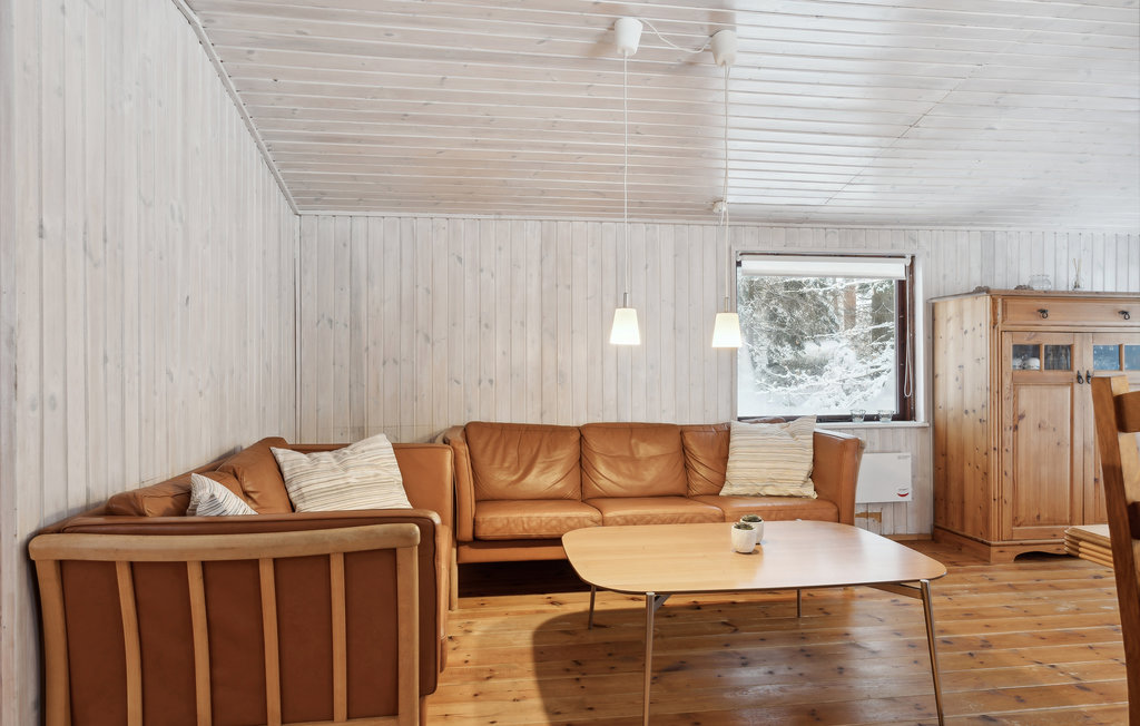 Ferienhaus - Silkeborg , Dänemark - D82032 14