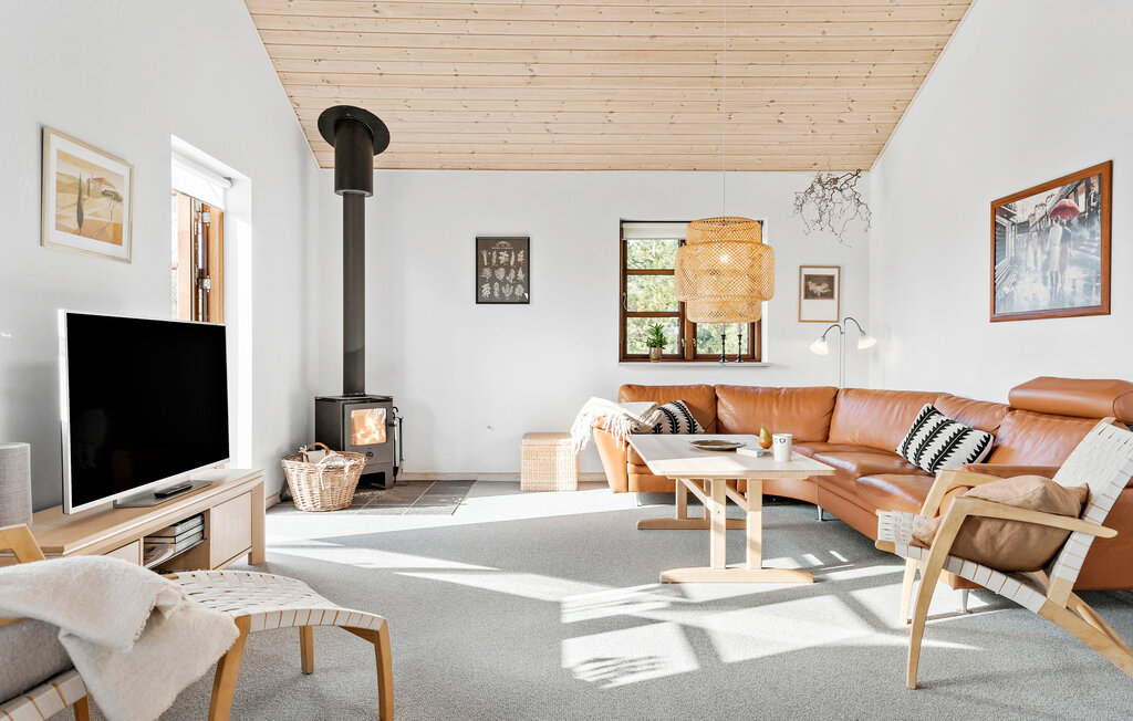 Feriehuse - Rørbæk Sø , Danmark - D82037 3