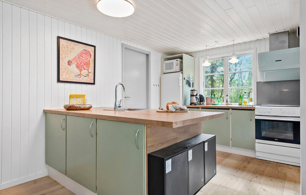 Feriehuse - Kongensbro , Danmark - D82163 6