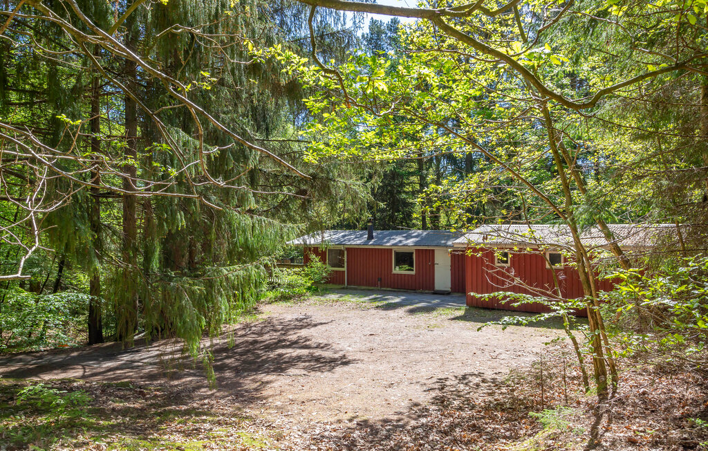 Ferienhaus - Silkeborg , Dänemark - D82032 8