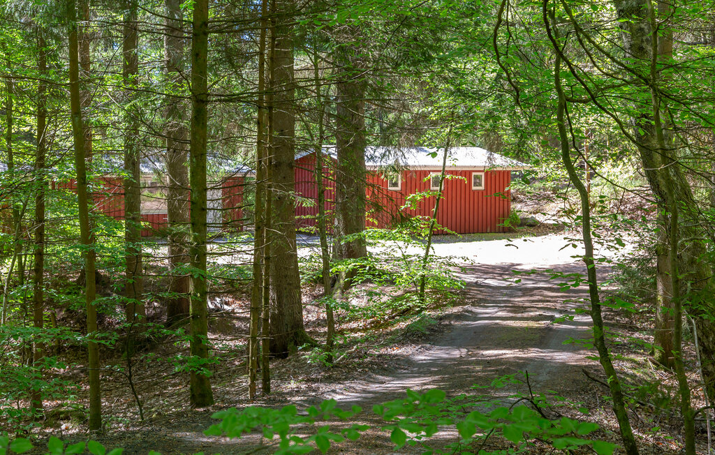 Ferienhaus - Silkeborg , Dänemark - D82032 9