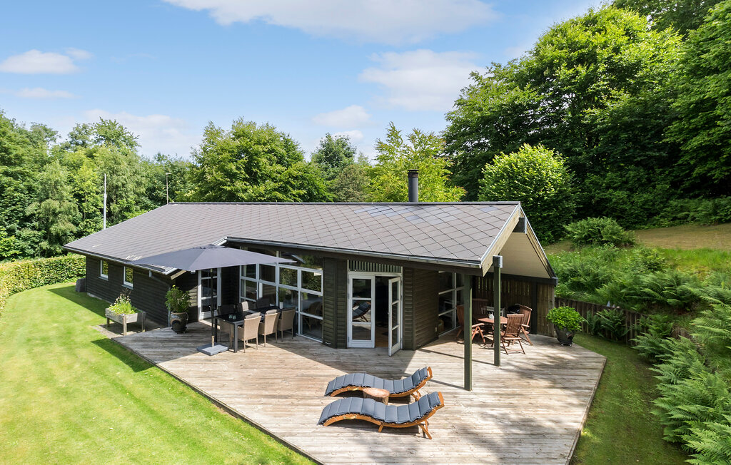 Ferienhaus - Silkeborg , Dänemark - D82607 1