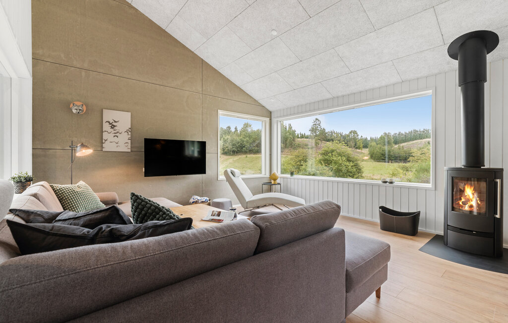Feriehuse - Funder Kirkeby , Danmark - D82230 5