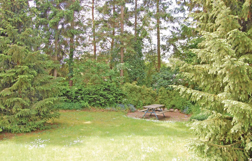 Bild 5 Bild 5