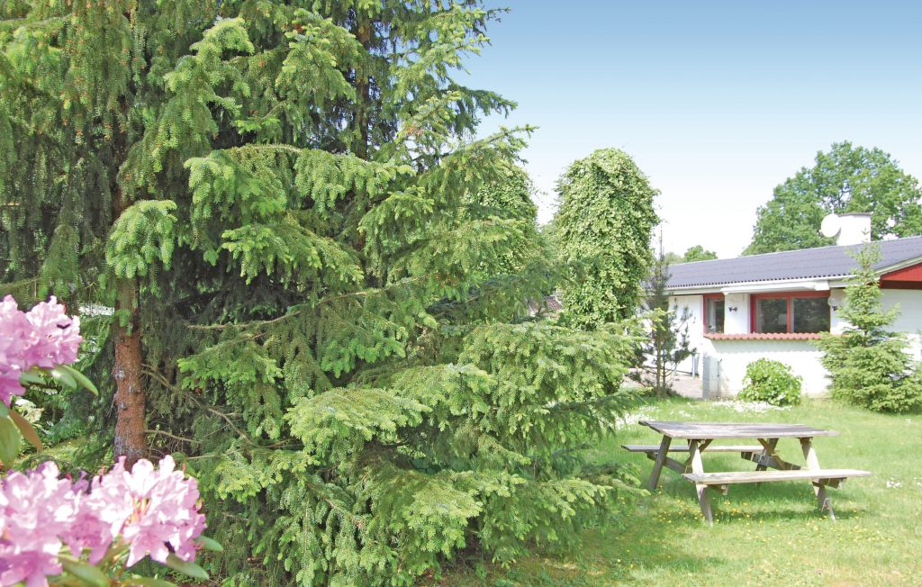 Bild 6 Bild 6