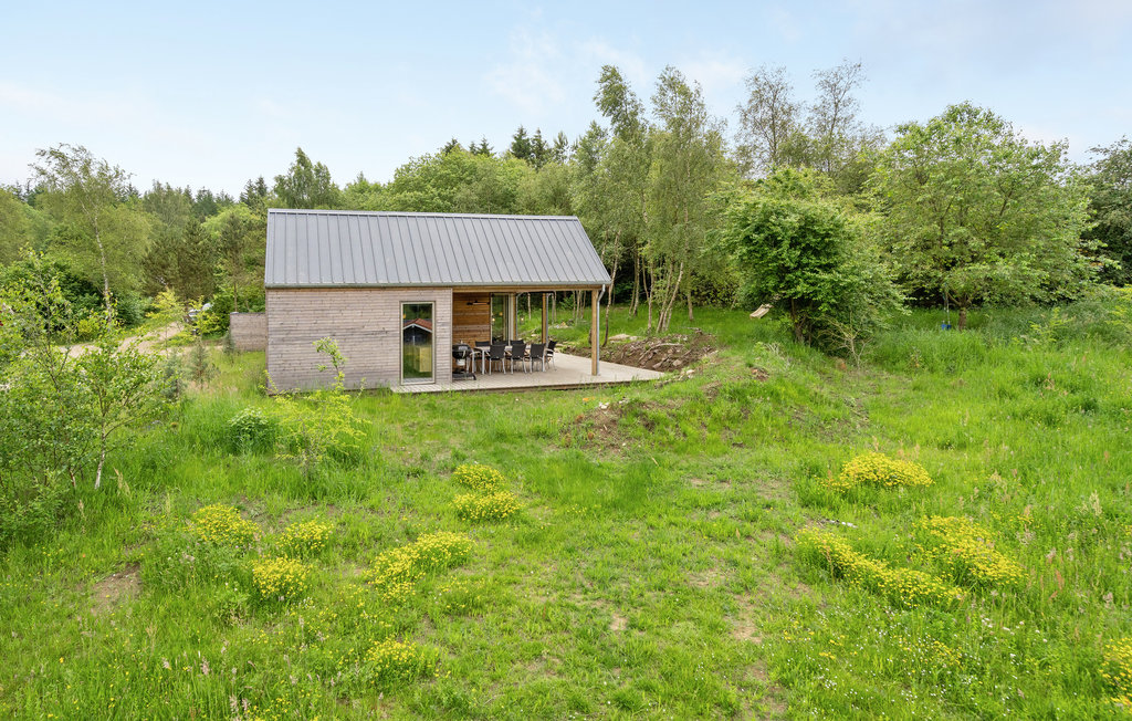 Bild 12