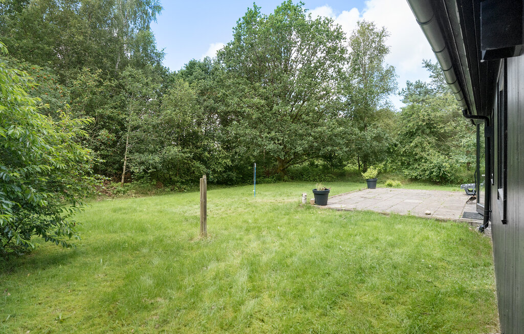 Ferienhaus - Vesterlund , Dänemark - D82175 101