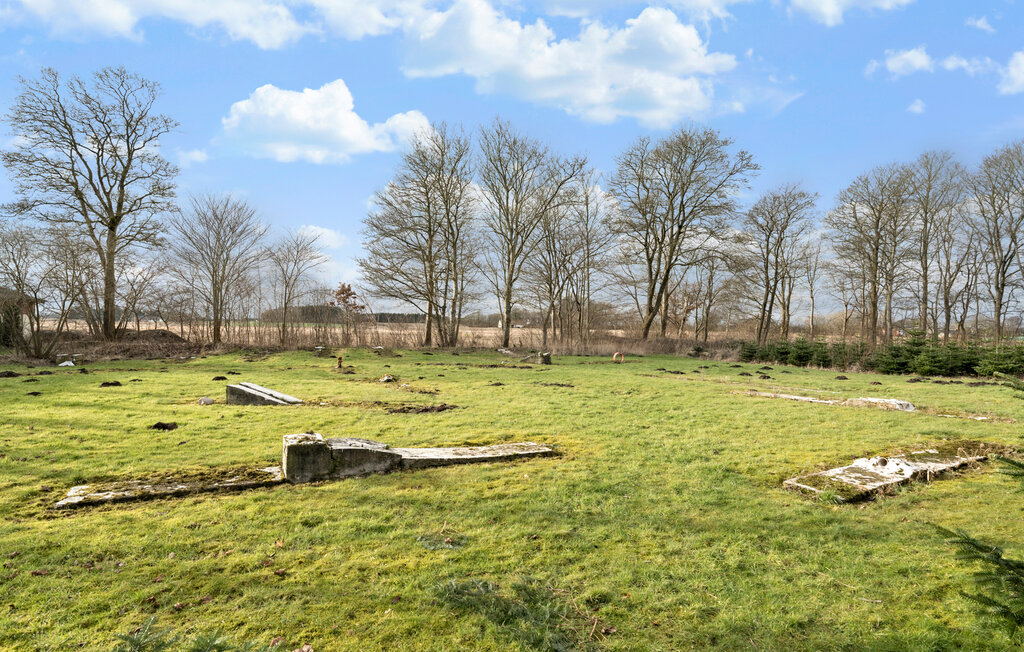 Feriehuse - Kjellerup , Danmark - D83103 11