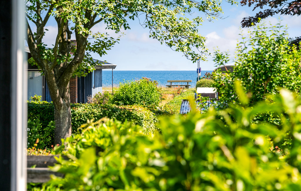 Feriehuse - Ajstrup Strand , Danmark - D84136 18