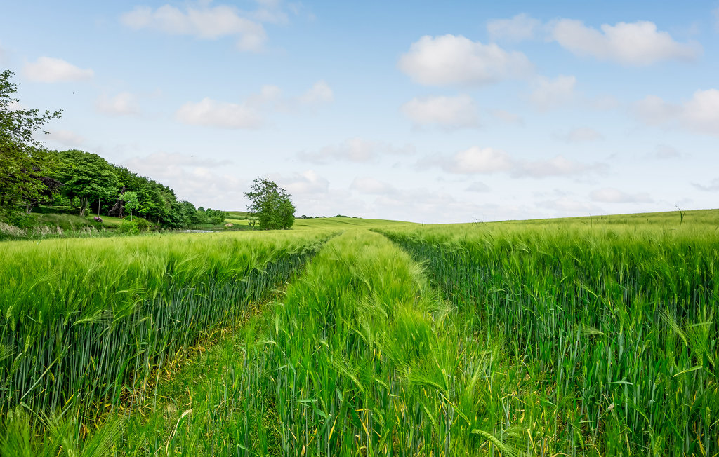 Ferienhaus - Aarhus , Dänemark - D84137 24