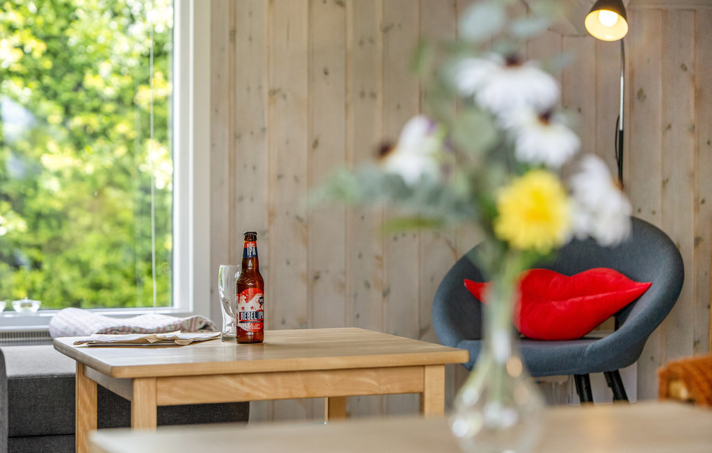 Feriehuse - Dyngby , Danmark - D84119 16