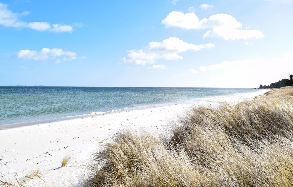 Ferienhaus - Saksild Strand , Dänemark - D84128 26