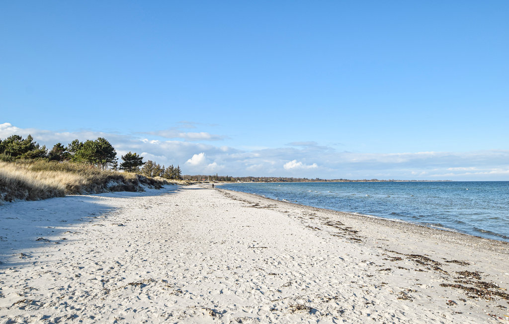 Ferienhaus - Saksild Strand , Dänemark - D84280 20