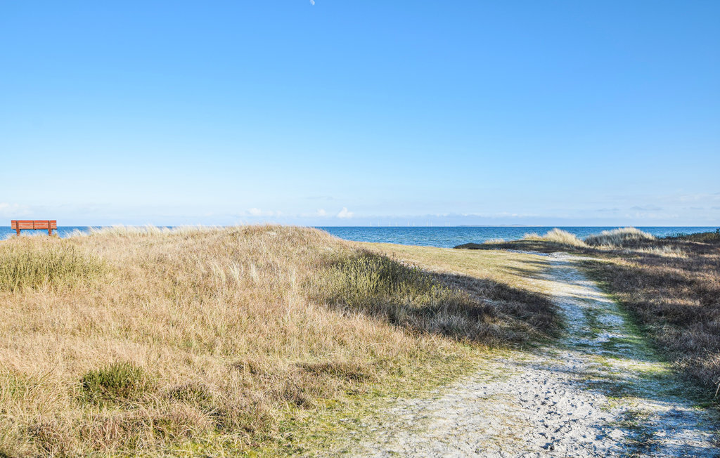 Ferienhaus - Saksild Strand , Dänemark - D84112 27