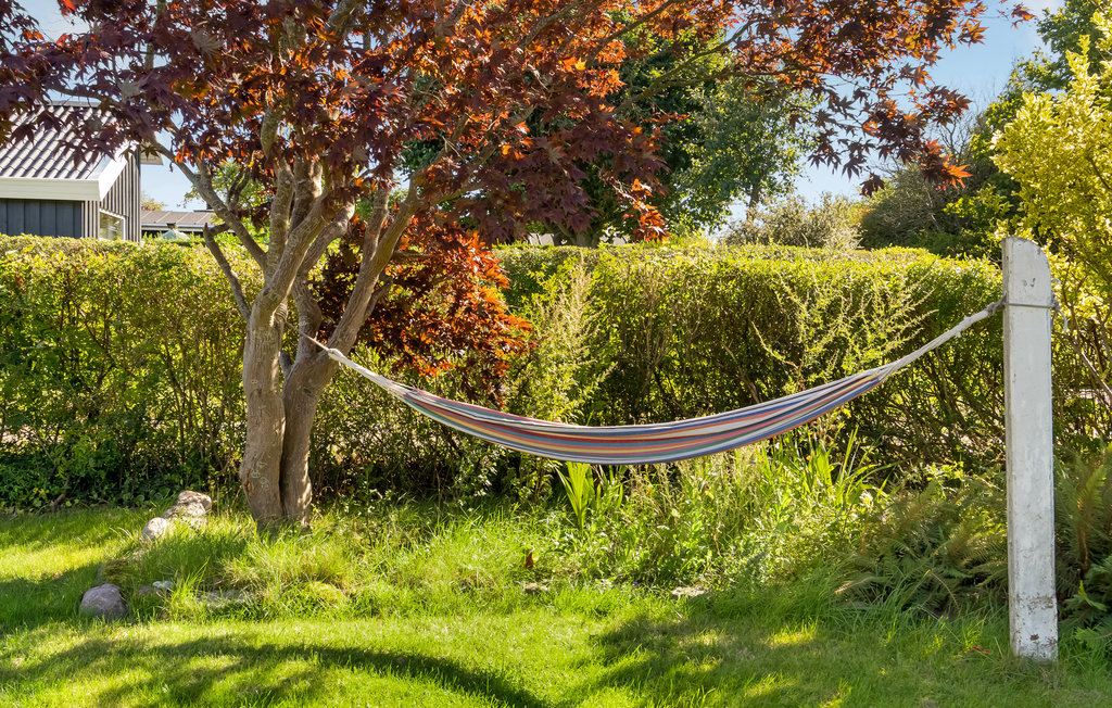 Feriehuse - Ajstrup Strand , Danmark - D84019 18