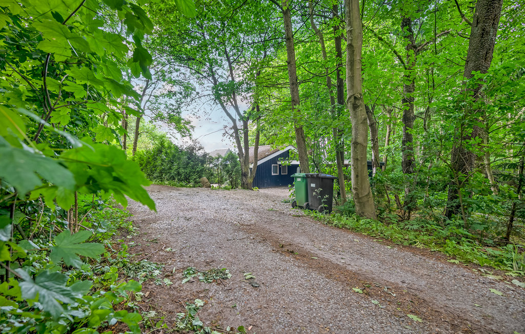 Ferienhaus - Aarhus , Dänemark - D84137 15