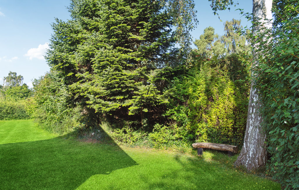Feriehuse - Mariendal Strand , Danmark - D84002 12