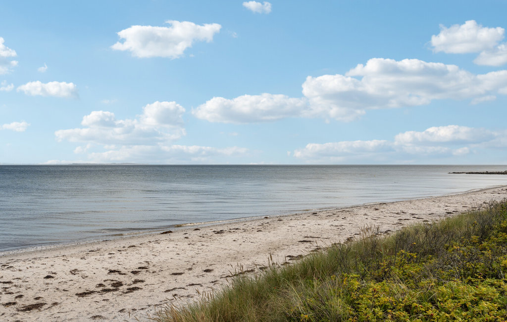 Feriehuse - Saksild Strand , Danmark - D84031 8