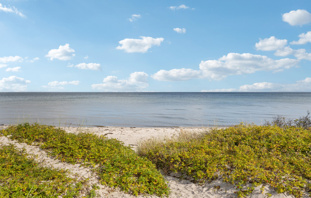 Feriehuse - Saksild Strand , Danmark - D84031 28