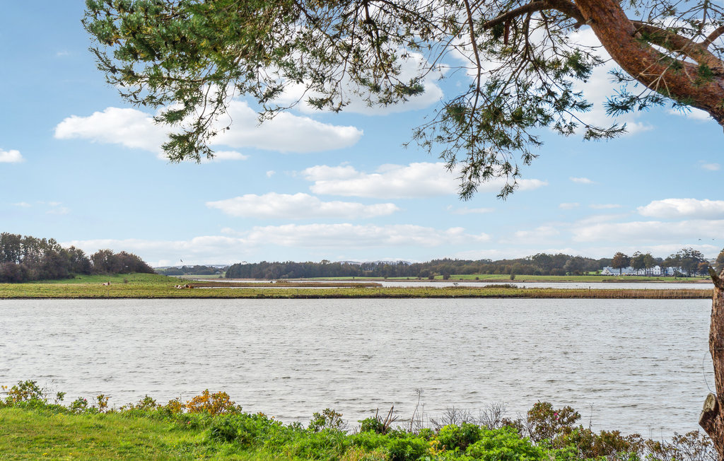 Ferienhaus - Ajstrup Strand , Dänemark - D84042 29