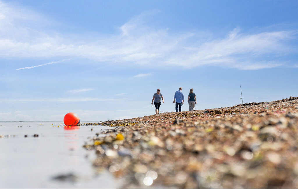 Ferienhaus - Saksild Strand , Dänemark - D84030 29