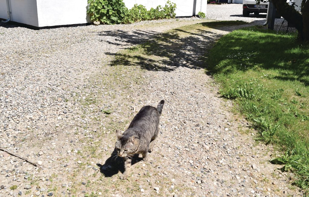 Lejlighed - Juelsminde , Danmark - D87118 17