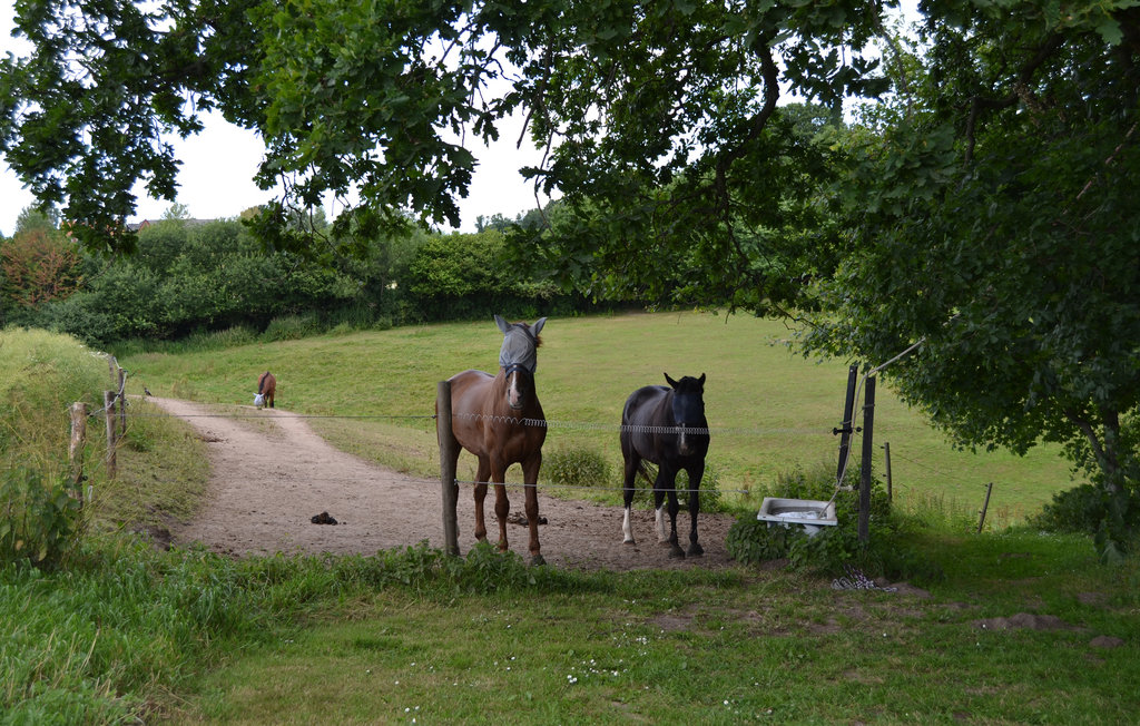 Ferienhaus - Løgballe , Dänemark - D87119 23