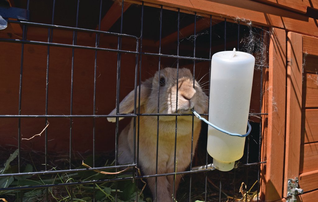 Lejlighed - Juelsminde , Danmark - D87118 18