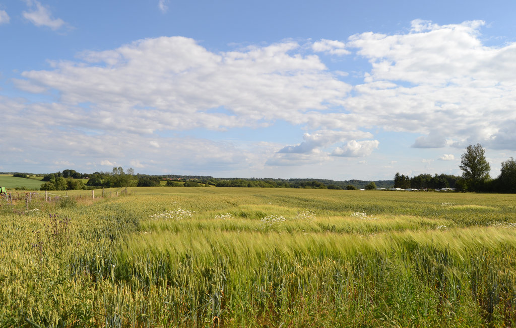 Ferienhaus - Løgballe , Dänemark - D87119 9