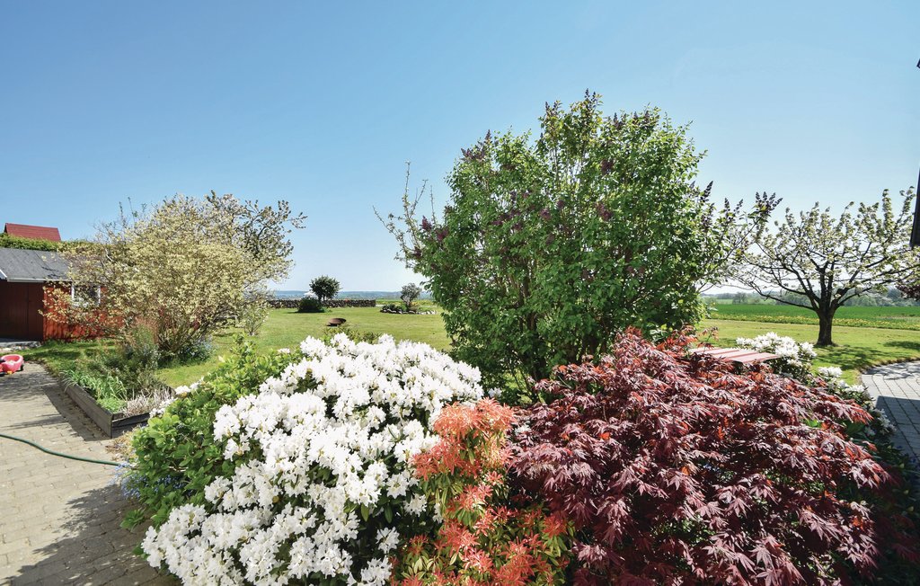 Lejlighed - Juelsminde , Danmark - D87118 6