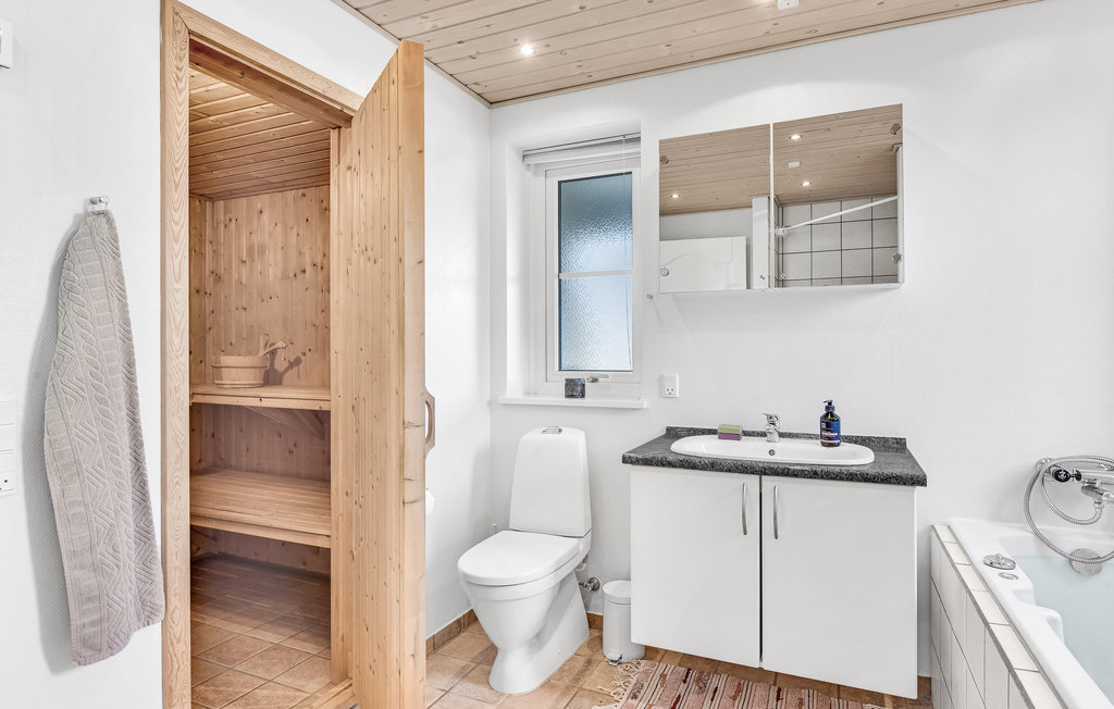 Ferienhaus - Hvidbjerg Strand , Dänemark - D88004 30