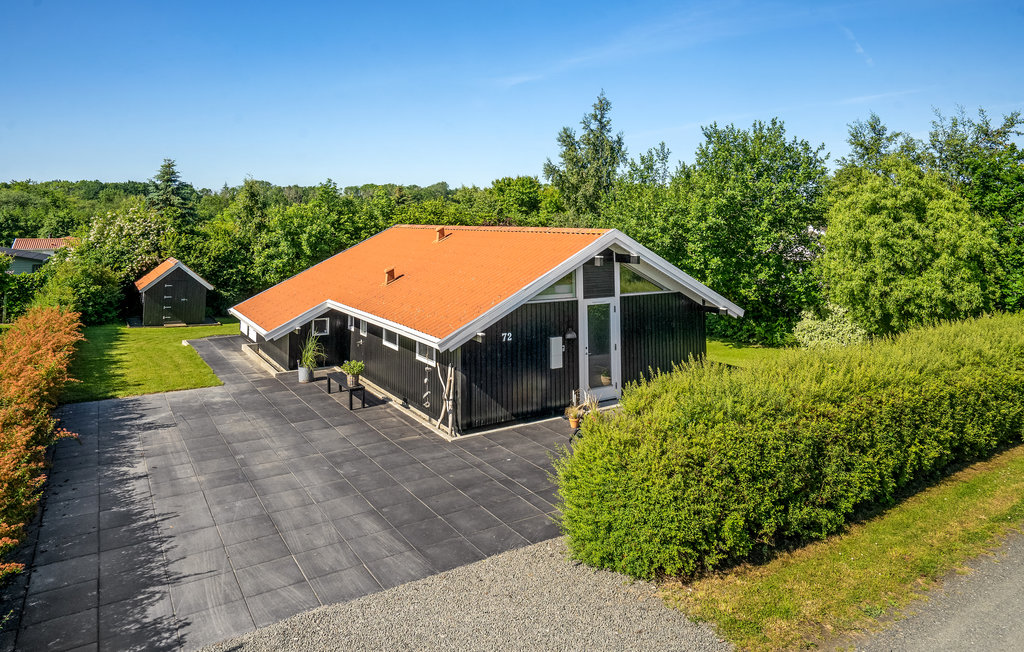 Ferienhaus - Pøt Strandby , Dänemark - D88010 1