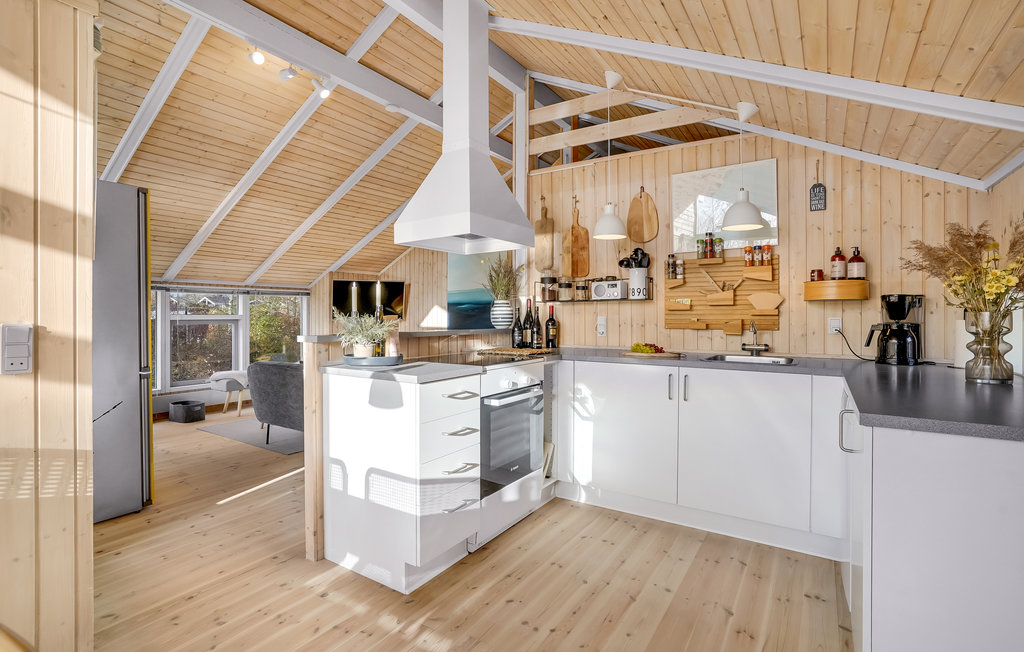 Ferienhaus - Pøt Strandby , Dänemark - D88010 8