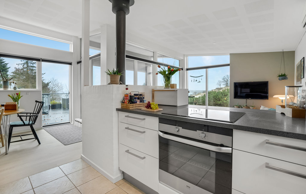 Feriehuse - Hvidbjerg , Danmark - D88031 17