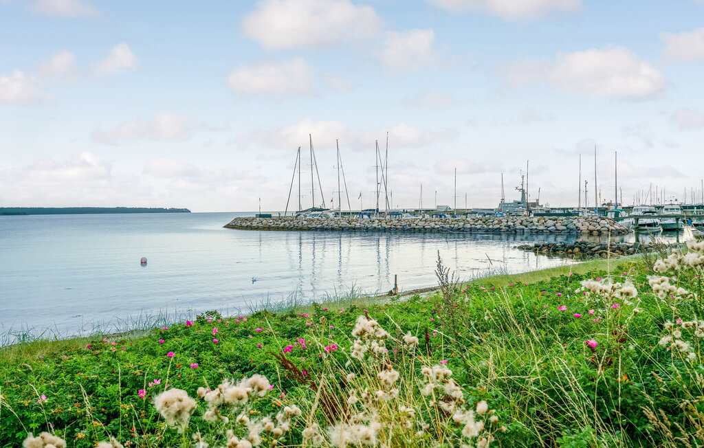 Feriehus - Juelsminde , Danmark - D88079 31