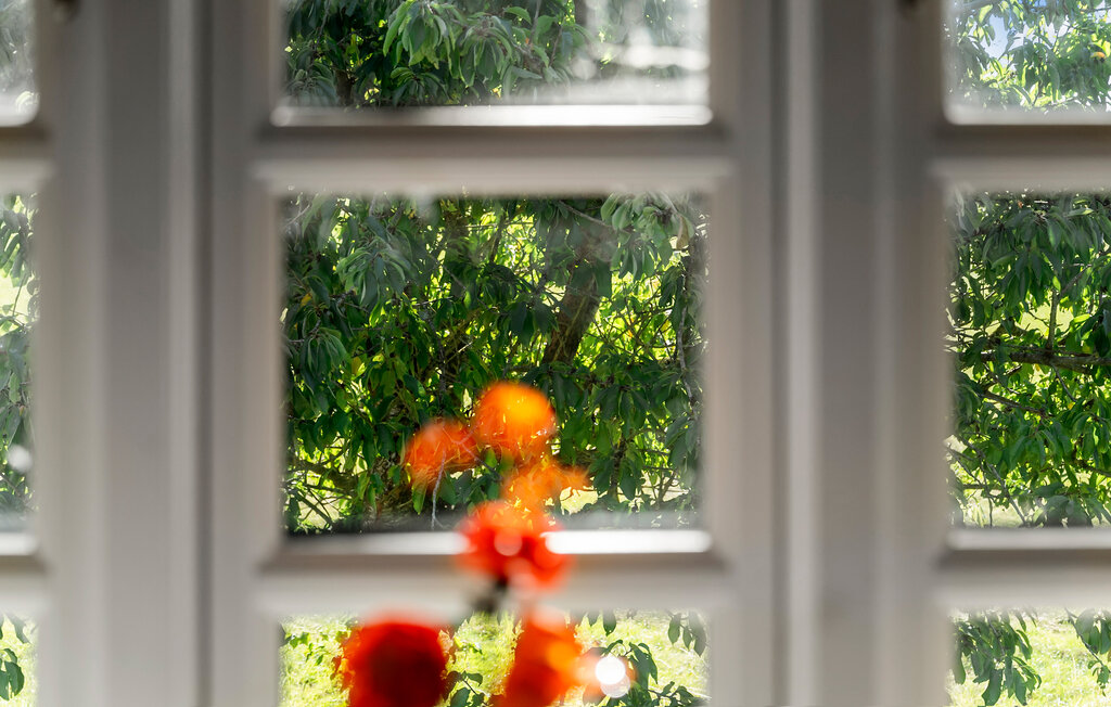 Feriehuse - As Vig , Danmark - D88086 12