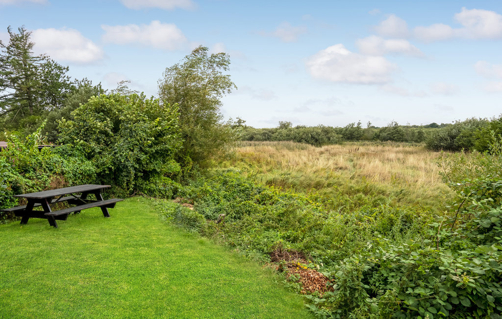 Ferienhaus - Hvidbjerg , Dänemark - D89053 15
