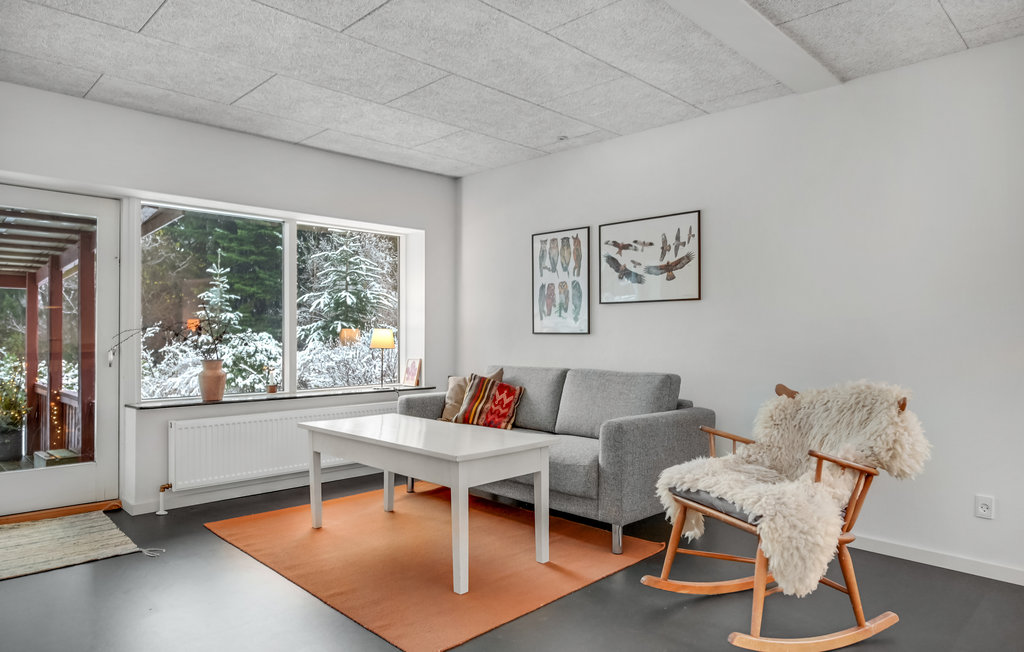 Ferienhaus - Silkeborg , Dänemark - D89017 4