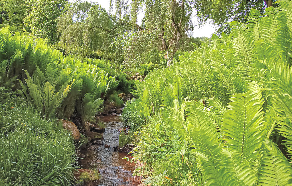 Ferienhaus - Vejle , Dänemark - D89510 19