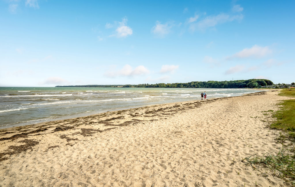 Feriehuse - Hvidbjerg , Danmark - D89127 17