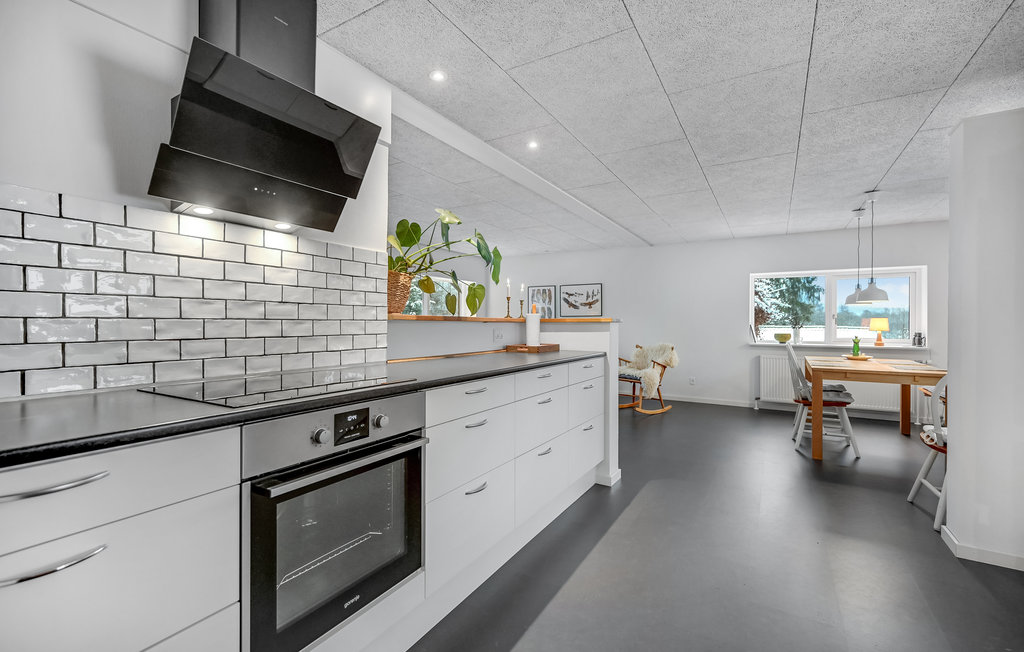 Ferienhaus - Silkeborg , Dänemark - D89017 8