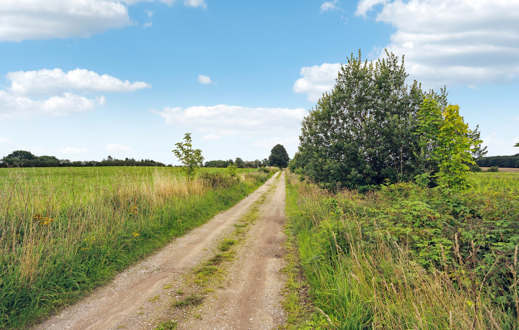 Feriehuse - Vejle , Danmark - D89068 15