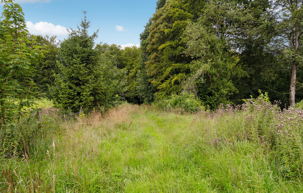 Feriehuse - Vejle , Danmark - D89068 16