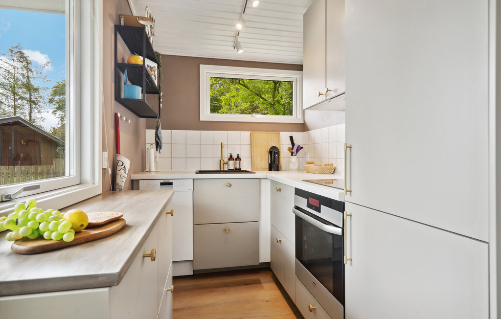 Feriehuse - Hvidbjerg , Danmark - D89502 8