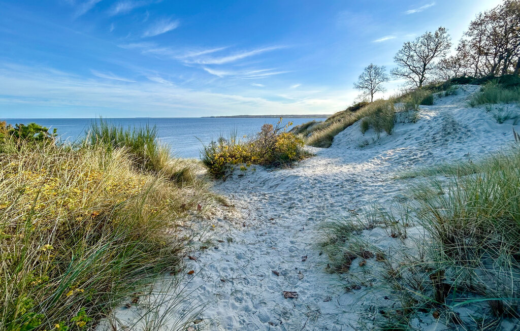 Ferienhaus - Hvidbjerg , Dänemark - D89206 35